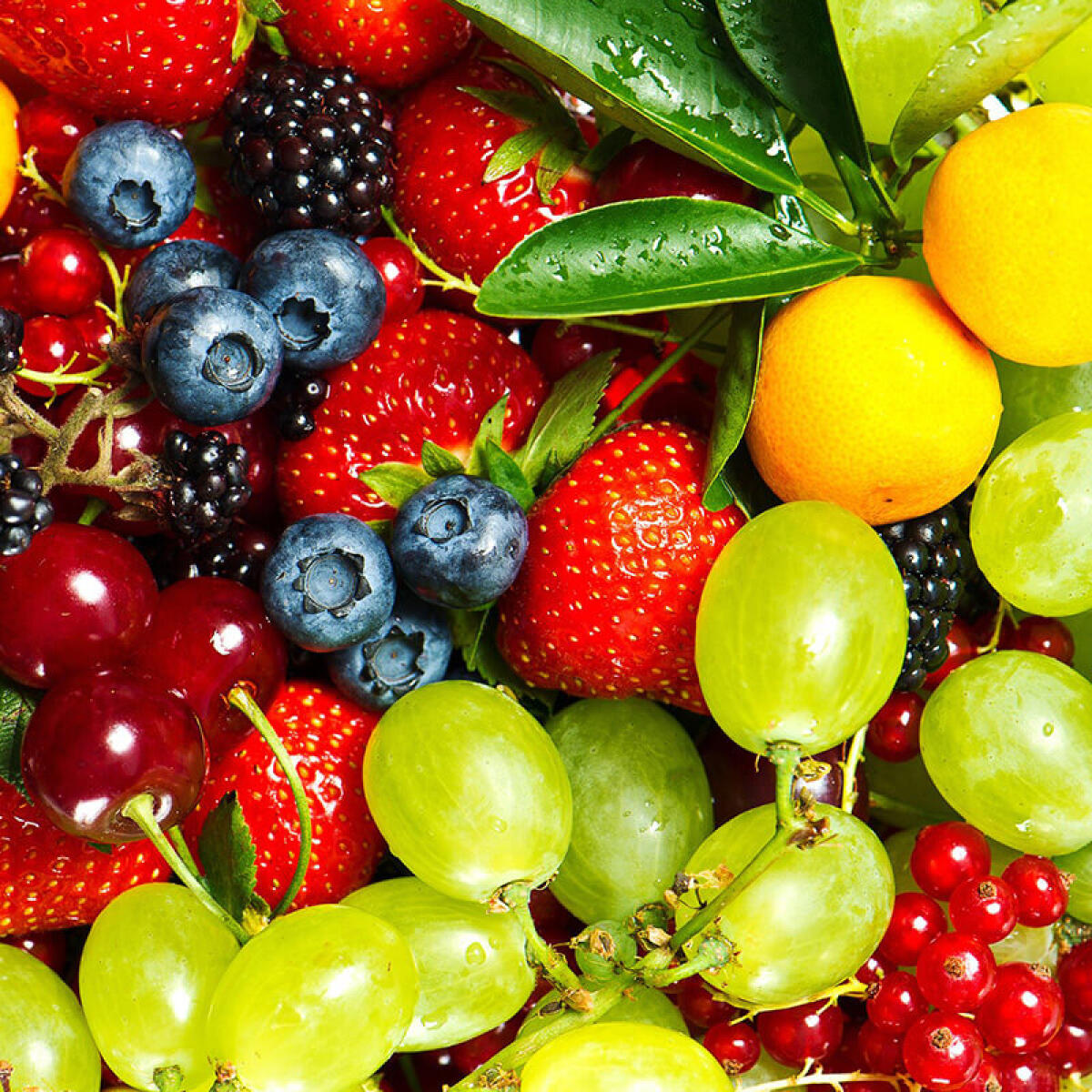 Экран защитный ЭЗ-500-1