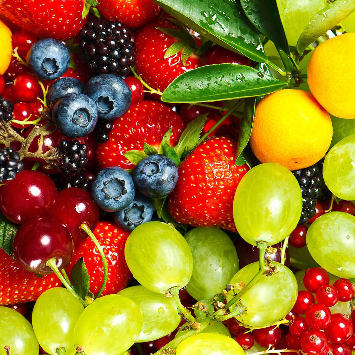 Экран защитный ЭЗ-500-1